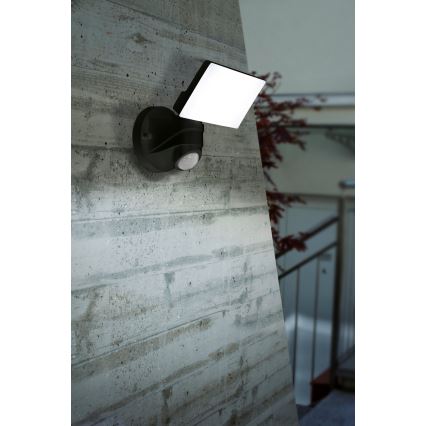 Eglo - LED Екстериорна Стенна лампа със сензор LED/15W/230V IP44