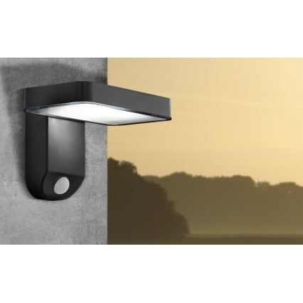 Eglo - LED Соларно стенноподсветително устройство с датчик LED/4,5W/3,7V 2200 mAh IP44
