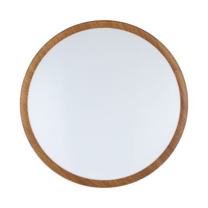 Eglo - LED Плафониера LED/14,6W/230V