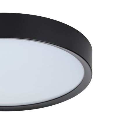 Eglo - LED Лампа за таван LED/16,8W/230V