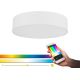 Eglo - LED RGB Димируема лампа ROMAO-C LED/33W/230V + дистанционно