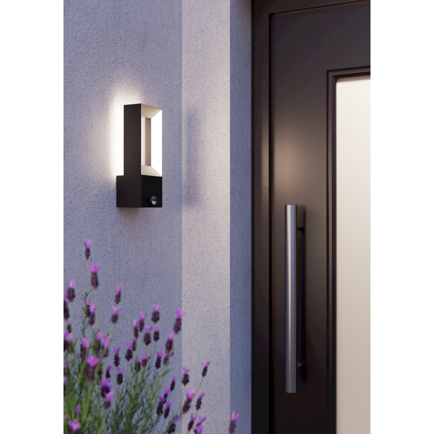 Eglo - LED Екстериорен аплик със сензор 2xLED/5W/230V IP44