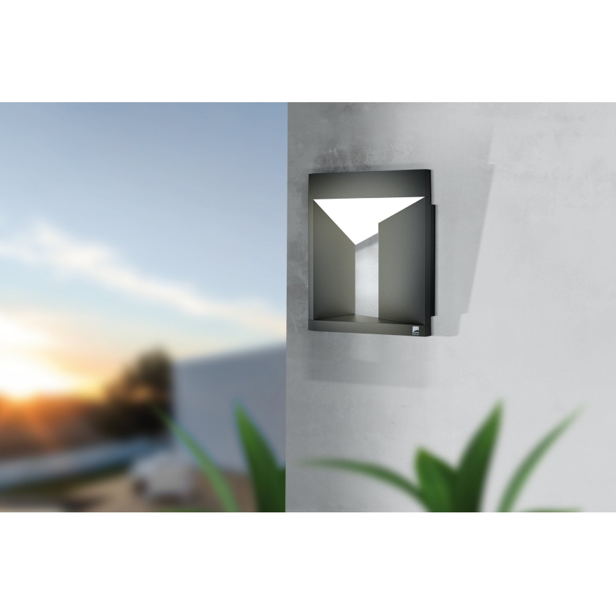 Eglo - Външна LED лампа за стена LED/10W/230V IP54