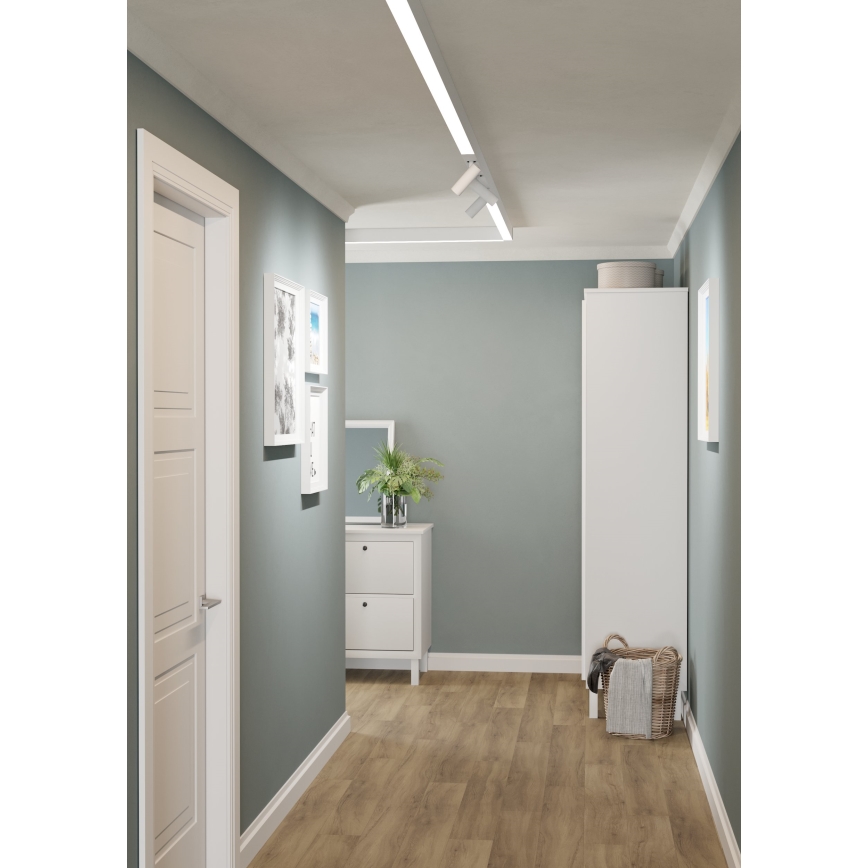 Eglo - LED Спот за релсова система 1xLED/9W/230V