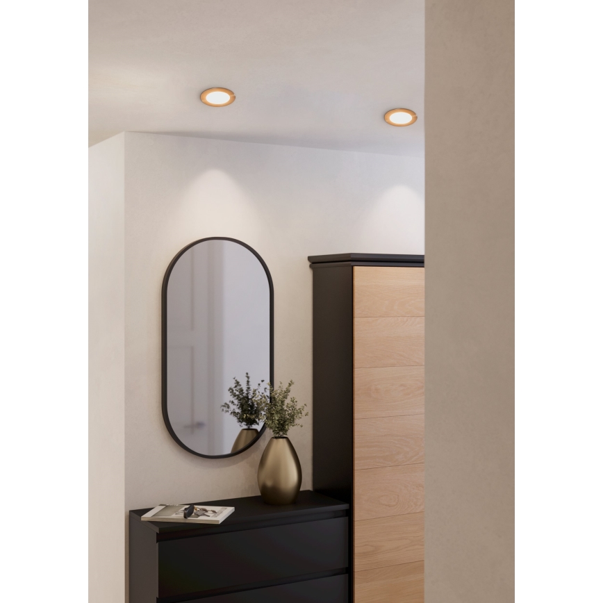 Eglo - LED Окачена таванна лампа LED/5,5W/230V