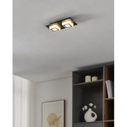Eglo 99362 - LED таванно осветително тяло MASIANO 2xLED/3,3W/230V