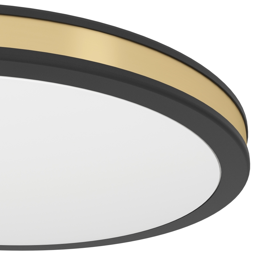 Eglo - LED Лампа за таван LED/11W/230V