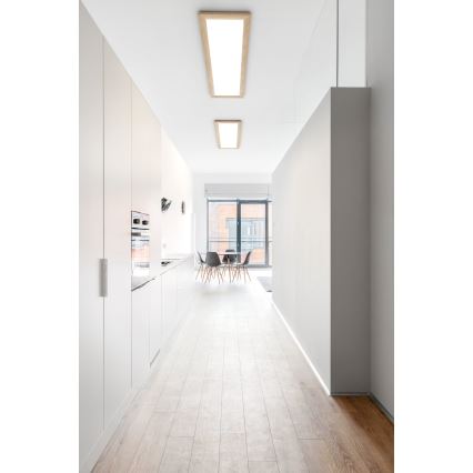 Eglo - LED Лампа LED/32W/230V 345x1245 мм