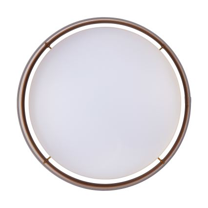 Eglo - LED Лампа за таван LED/24W/230V