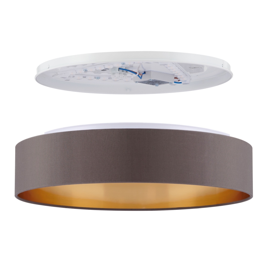 Eglo - LED Лампа за таван LED/24W/230V