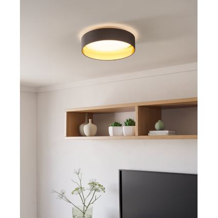 Eglo - LED Лампа за таван LED/24W/230V
