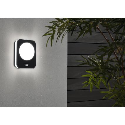 Eglo - LED Екстериорен аплик със сензор LED/9W/230V IP44
