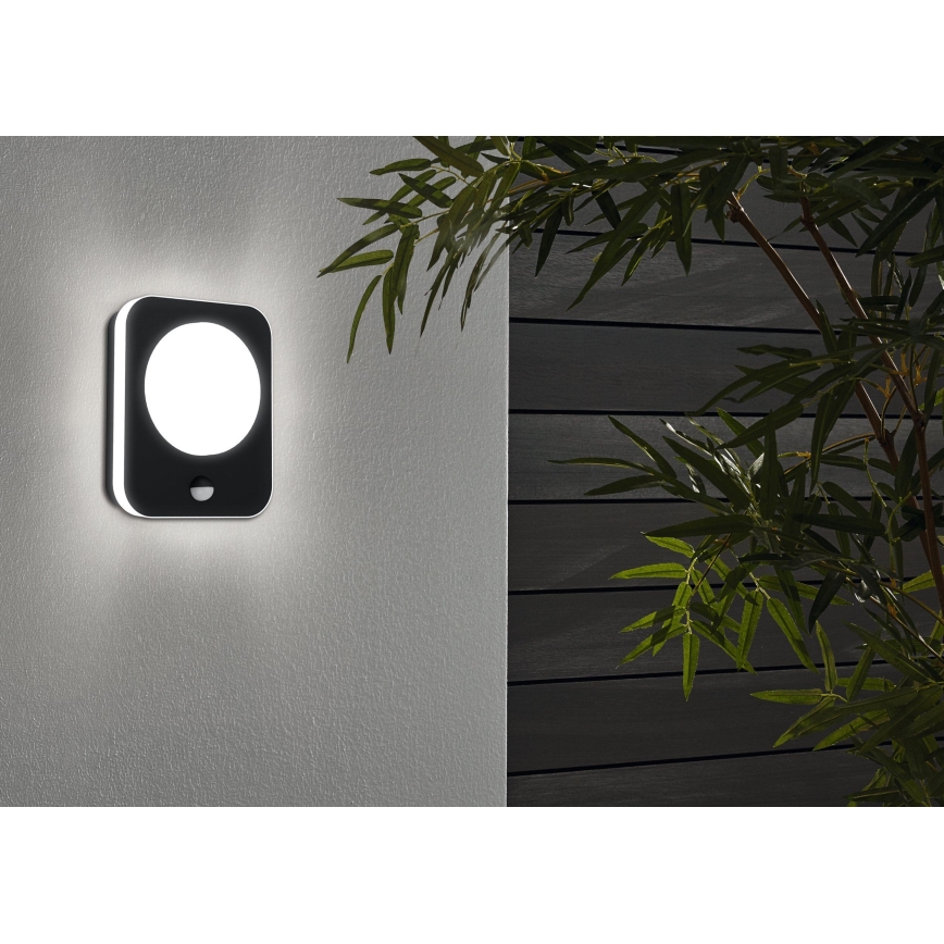 Eglo - LED Екстериорен аплик със сензор LED/9W/230V IP44