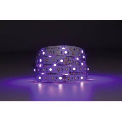 Eglo - LED RGBW Димируема лента 5m LED/11W/12/230V 2700-6500K ZigBee