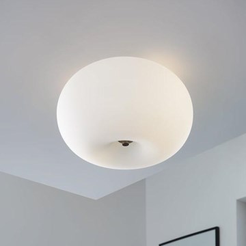 Eglo - Лампа за таван OPTICA 2xE27/60W