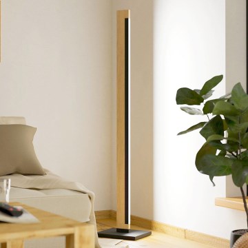 Eglo - LED Димируем докосване лампион CAMACHO LED/22W/230V