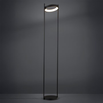 Eglo - LED Димируем лампион LED/20W/230V 3000K черен