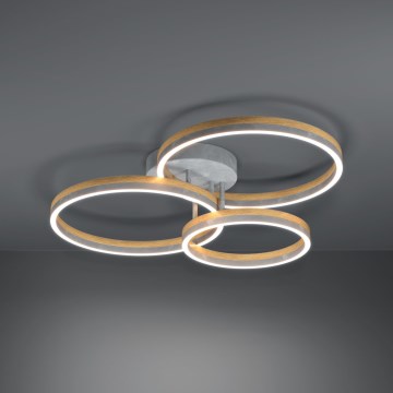 Eglo - LED Димируем полилей за повърхностен монтаж LED/12,5W/230V + 2xLED/15,5W 3000K сив/дъб