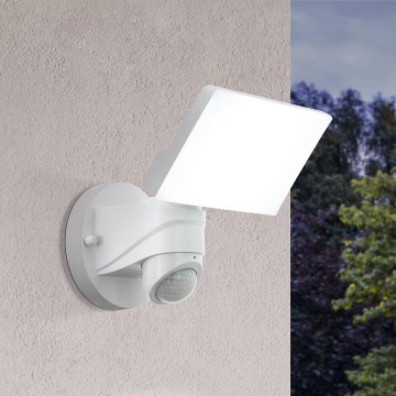 Eglo - LED Екстериорна Стенна лампа със сензор LED/15W/230V IP44