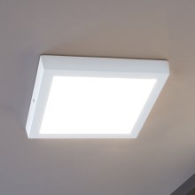Eglo - LED Екстериорна Лампа за таван LED/22W IP44