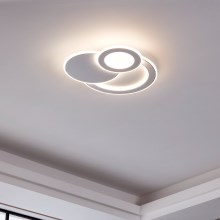 Eglo - LED Лампа 3xLED/11W/230V