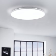 Eglo - LED Лампа LED/29W/230V Ø 50 cм