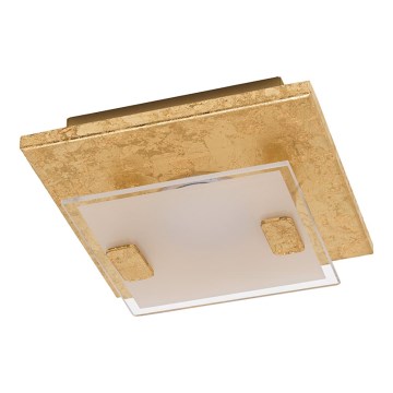 Eglo - LED Лампа за таван LED/2,5W/230V