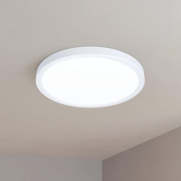 Eglo - LED Лампа за таван LED/20W/230V