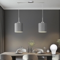 Eglo - LED Пендел TUNJA 2xE27/60W/230V сив