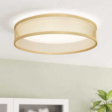 Eglo - LED Плафониера LED/20W/230V златист