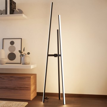 Eglo - LED подова лампа LED/30W/230V черна