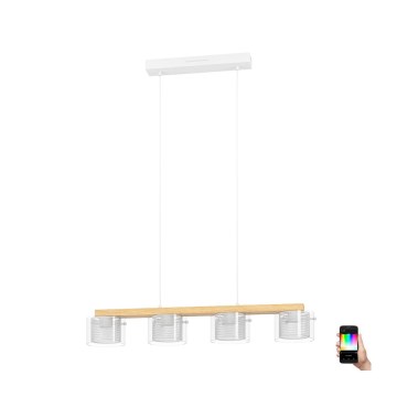 Eglo - LED RGBW Димируем пендел 4xLED/3,7W/230V 2700-6500K