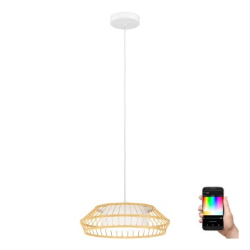 Eglo - LED RGBW Димируем пендел LED/22W/230V 2700-6500K
