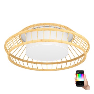 Eglo - LED RGBW Димируем плафон LED/22W/230V 2700-6500K
