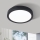 Eglo - LED таванна осветление LED / 16,5W / 230V