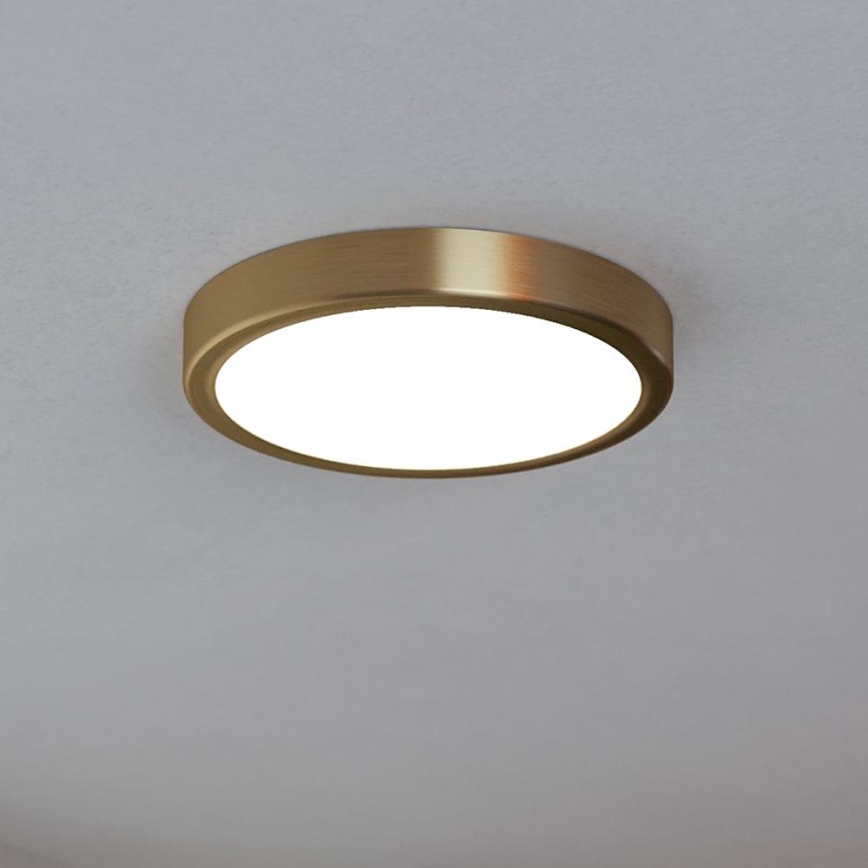 Eglo - LED таванно осветително тяло LED/17W/230V Ø 21 см Ø 21 см