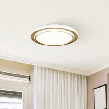 Eglo - LED таванно осветително тяло LED/36W/230V 2700/4000/6500K Ø 49 см златисто