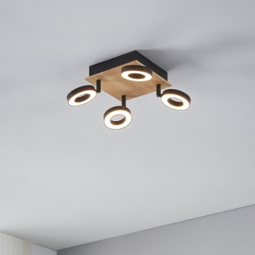 Eglo - LED точково осветително тяло 4xLED/4,2W/230V черно/кафяво