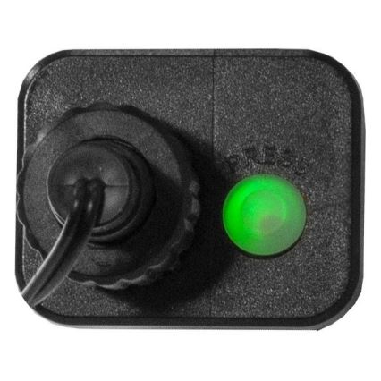 Eglo 472-53 - LED външна коледна гирлянда BERRY MINI 700xLED/8 режима 19m многоцветна IP44