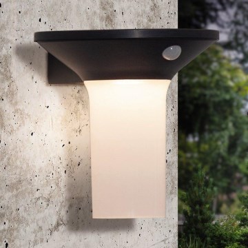 Eglo - LED външно соларно осветително тяло със сензор 6xLED/0,03W/3,7V IP44