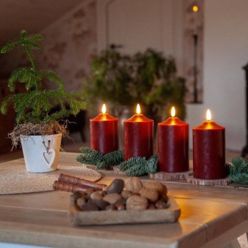 Eglo - LED коледна украса LED/0,03W/2xAA