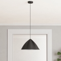 Eglo - Пендел 1xE27/40W/230V черен