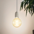 Eglo - Полилей на верижка 1xE27/60W/230V