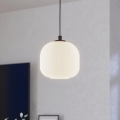 Eglo - Полилей на въже 1xE27/40W/230V