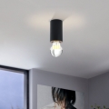 Eglo - Таванна лампа 1xE27/40W/230V