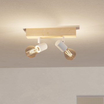 Eglo - Точково осветително тяло TOWNSHEND 2xE27/60W/230V