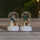 Eglo - Комплект 2x LED коледна украса LED/0,03W/1xCR2032