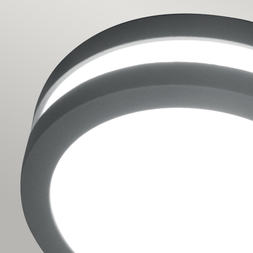 Elstead - LED Екстериорен аплик ANO 1xGX53/9W/230V IP54
