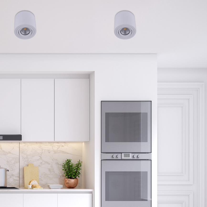 Emithor 48606 - Таванна Точково осветително тяло SURFACE 1xGU10/50W/230V