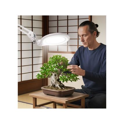 Extol - Димируема LED настолна лампа с лупа LED/10W/230V бяла